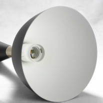 Купить с доставкой по Москве и России Подвесной светильник Lussole LSP-8150