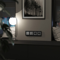 Купить Рамка Werkel W0043108