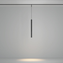 Купить с доставкой по Москве и России Maytoni Technical TR179-1-5WTW-M-B