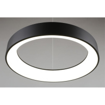 Купить с доставкой по Москве и России Подвесной светильник APLOYT APL.052.13.60