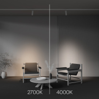 Купить с доставкой по Москве и России Maytoni Technical TR198-3-20W2.7K-Z-W