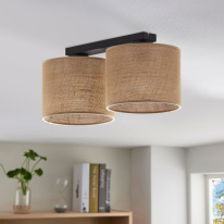 Купить Накладной светильник TK Lighting 6583