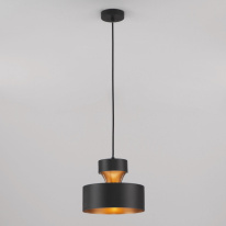 Купить Подвесной светильник Eurosvet 50171/1 черный