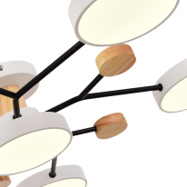 Люстра на штанге Evoluce SLE6006-502-06 в интернет магазине Гет Лайт