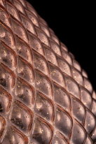 Цена на Подвесной светильник Maytoni P056PL-01B