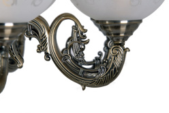 Купить Abrasax HSD89542/8