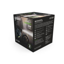 Купить с доставкой по Москве и России Фонарь Gauss GF309