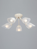 Фото Накладная люстра Vitaluce V3405/5PL