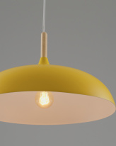 Купить с доставкой по Москве и России Детский светильник Moderli Moderli V10653-1P Hygo подвесной