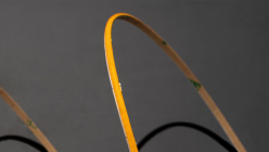 Купить Лента SWG pro SWG-COB400-24-4.8-WW