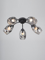 Фото Накладная люстра Vitaluce V4936-1/5PL