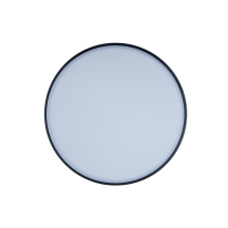 Купить Накладной светильник LOFT IT 10002/12 Black