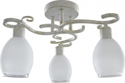 Фото Накладная люстра TOPLIGHT TL7360X-03WG