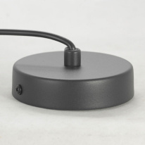 Купить с доставкой по Москве и России Подвесной светильник Lussole LSP-8489