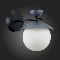 Купить с доставкой по Москве и России Бра Evoluce SLE220201-01