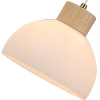 Купить Подвесной светильник ARTE Lamp A4184SP-1BR