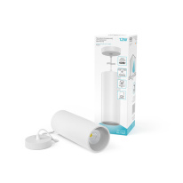 Купить Подвесной светильник Gauss HD036