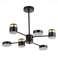 Купить с доставкой по Москве и России Люстра на штанге Evoluce SLE6007-402-06