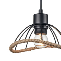 Купить Подвесной светильник Vele Luce VL6482P01