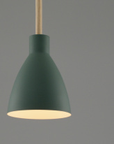 Купить с доставкой по Москве и России Подвесной светильник Moderli Moderli V10651-1P Toni подвесной