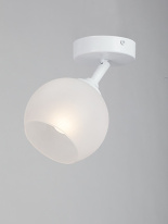 Купить Накладной светильник Vitaluce V4313-0/1PL