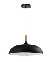 Купить Подвесной светильник Moderli Moderli V1331-P Hygo 1*E27*60W подвесной