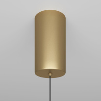 Цена на Подвесной светильник Maytoni Technical P022PL-L10MG3K