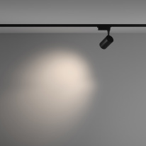 Светильник на шине Maytoni Technical TR003-1-10W4K-M-B в интернет магазине Гет Лайт