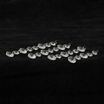 Купить с доставкой по Москве и России Накладная люстра Lussole LSP-8893