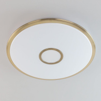 Купить Накладной светильник Citilux CL703A83G