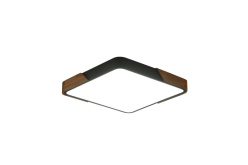 Накладной светильник Zortes ZRS.01288.24 Купить Накладной светильник Zortes ZRS.01288.24
