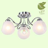 Фото Накладная люстра Lussole GRLSP-8139