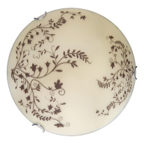 Фото Накладной светильник TOPLIGHT TL9630Y-00WH