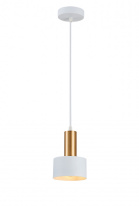 Фото Подвесной светильник Simple Story 1069-1PL