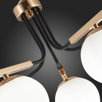 Цена на Подвесная люстра Evoluce SLE106803-05