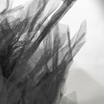 Купить с доставкой по Москве и России Накладная люстра Lussole GRLSP-8727