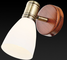 Купить Спот TOPLIGHT TL3720Y-01BB