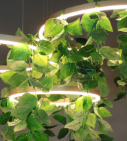 Купить Люстра на штанге Kink Light 08223,33TREE(3000K)