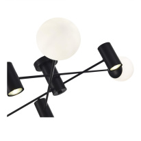 Накладная люстра Evoluce SLE1105-402-06 Купить Накладная люстра Evoluce SLE1105-402-06