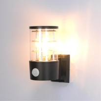 Купить Светильник настенный ARTE Lamp A5316AL-1BK