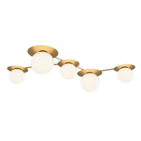 Фото Накладная люстра Maytoni MOD291CL-05BS