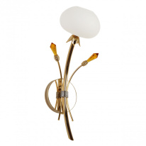 Фото Бра Abrasax 6498-А1.11