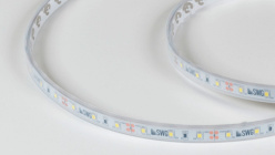 Лента SWG SWG260-12-4.8-W-66-M в интернет магазине Гет Лайт