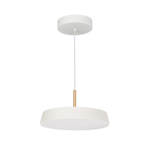 Фото Подвесной светильник Arlight 033919