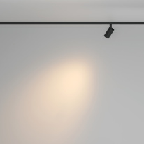 Купить с доставкой по Москве и России Maytoni Technical TR176-1-5WTW-M-B