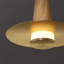 Купить Подвесной светильник ImperiumLoft 189879-23