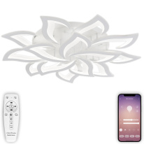 Фото Накладная люстра Natali Kovaltseva LED LAMPS 81335