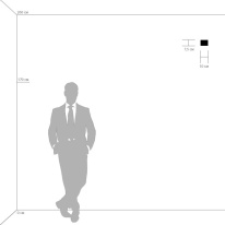 Купить с доставкой по Москве и России Бра Lightstar 801613