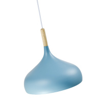 Купить Детский светильник Moderli Moderli V1295-1P Eline 1*E27*60W подвесной