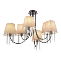 Фото Накладная люстра Evoluce SLE1118-802-06